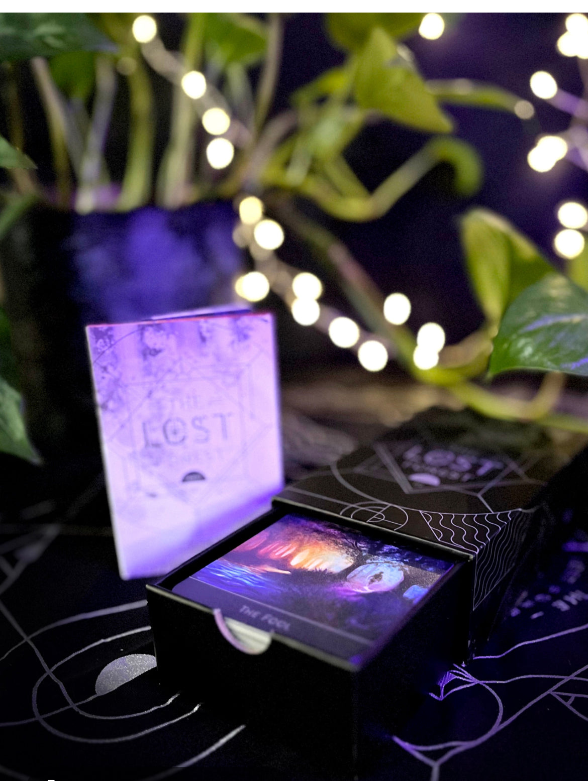 🌹 What’s Love Got To Do With It — Mini Edition